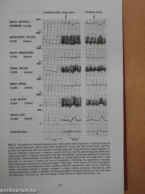 Cardiovascular Toxicology