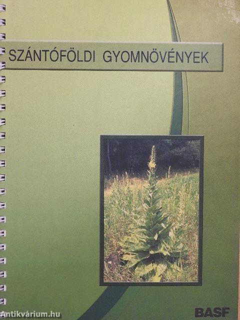 Szántóföldi gyomnövények