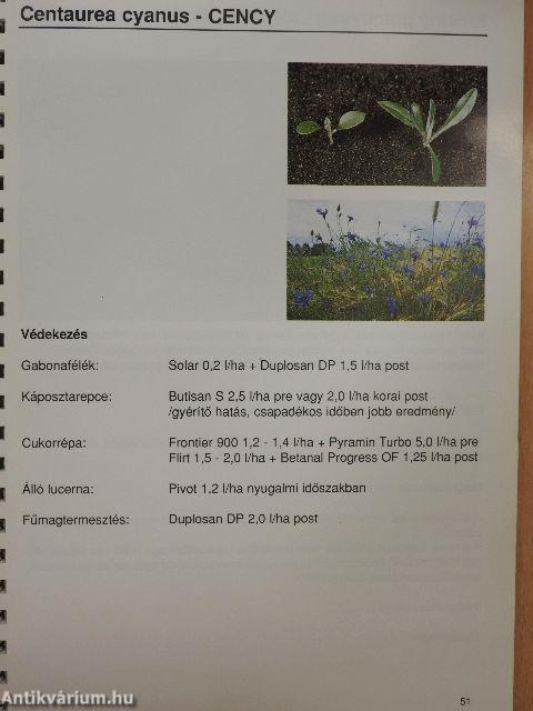 Szántóföldi gyomnövények