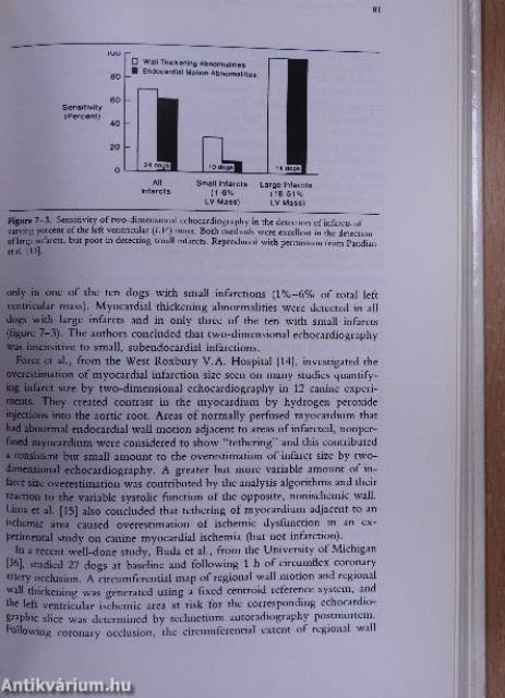 Echocardiography in Coronary Artery Disease