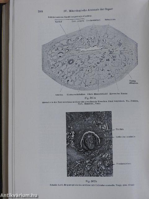 Lehrbuch der Histologie