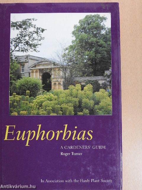 Euphorbias