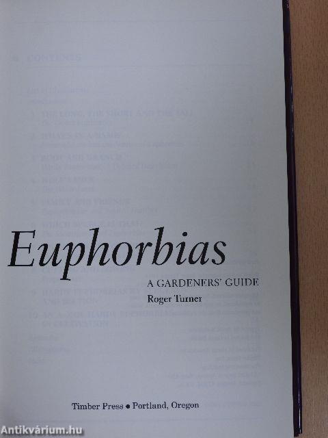 Euphorbias