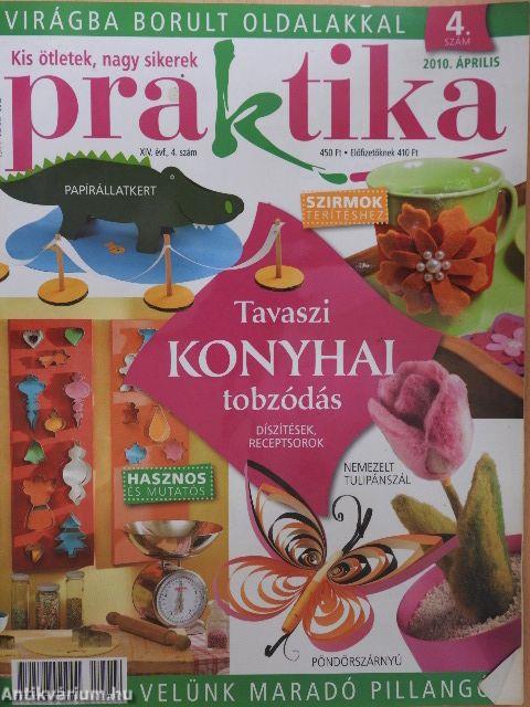 Praktika 2010. április