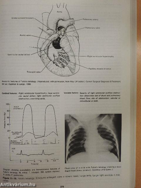 Clinical Cardiology