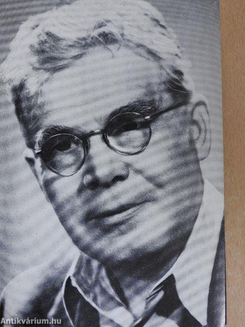 Erélyes elégia