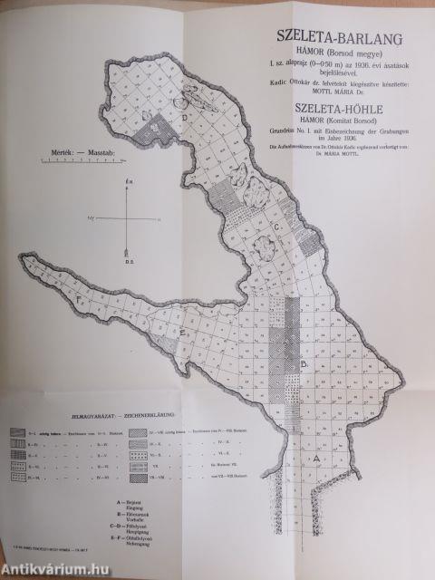 Jelentés az 1936/38. évi ásatások eredményéről és az Ősgerinces Osztály működéséről