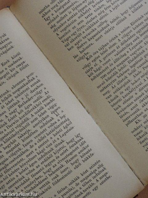 Tíz esztendő a Tűzföldön