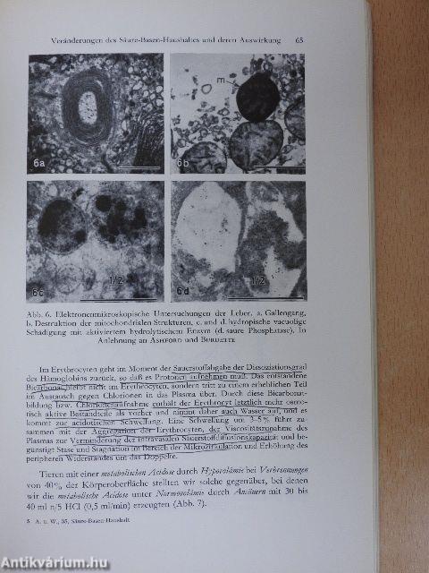 Die Störungen des Säure-Basen-Haushaltes