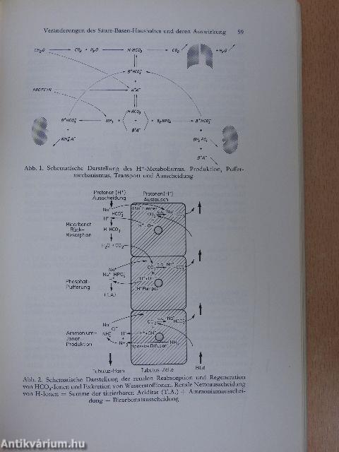 Die Störungen des Säure-Basen-Haushaltes