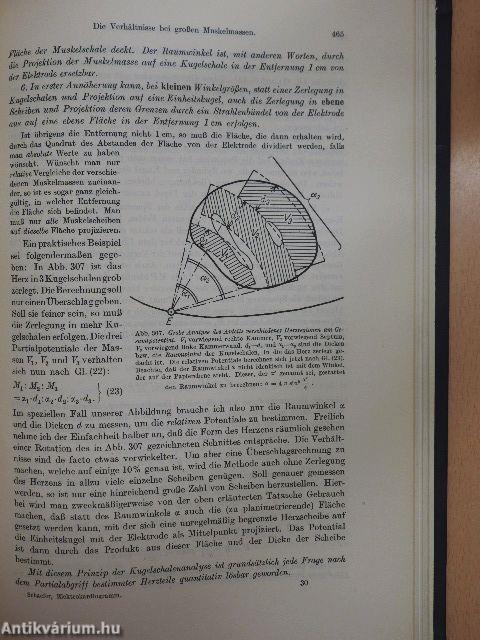 Das elektrokardiogramm theorie und klinik