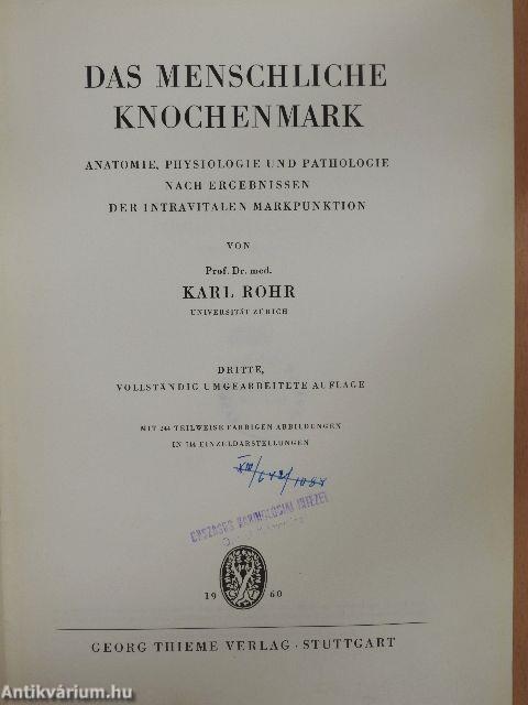 Das menschliche Knochenmark