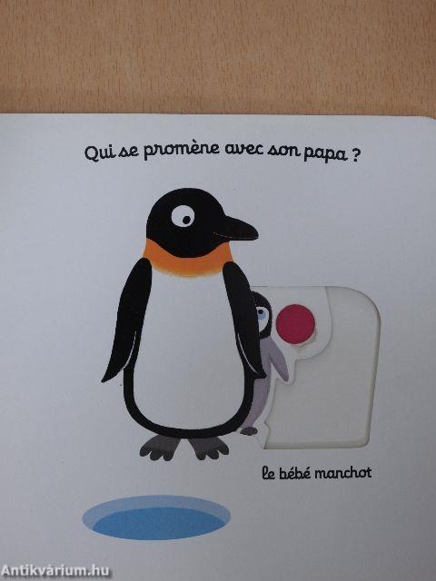 Mon imagier des bébés animaux