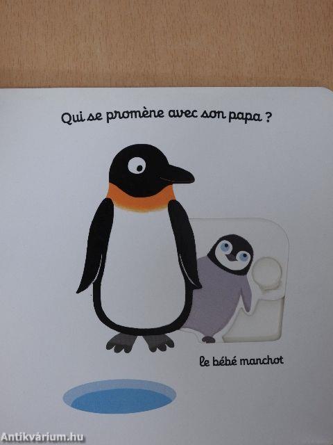 Mon imagier des bébés animaux
