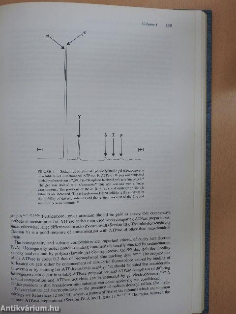 Methods in Studying Cardiac Membranes I-II.