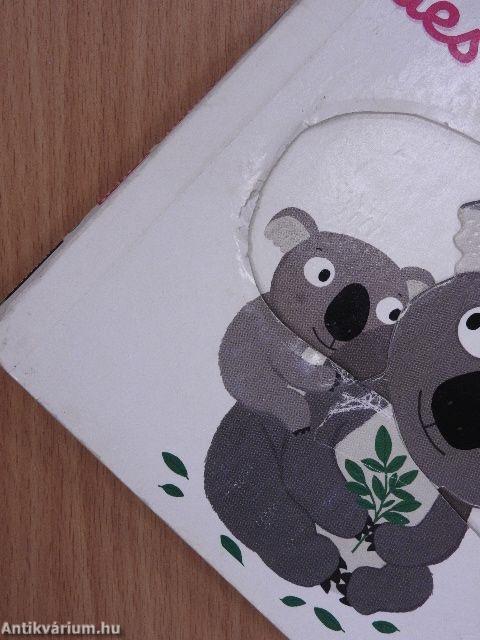 Mon imagier des bébés animaux