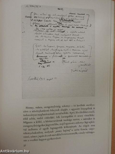 Az árnyból szőtt lélek