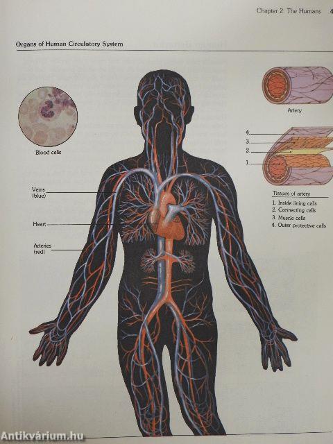 Scott, Foresman Biology