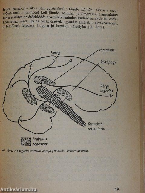 Az írástanulás pszichológiája