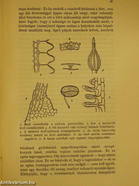 A növények érzéki és szerelmi élete/A darwinizmus mai állása