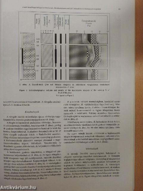 A Magyar Állami Földtani Intézet Évi Jelentése 2004