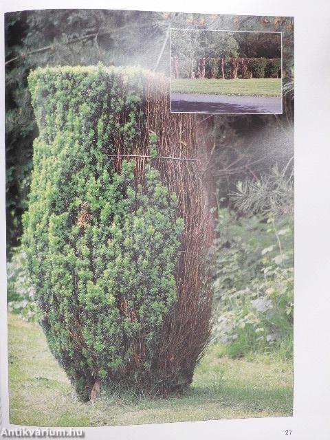 Topiary for Everyone