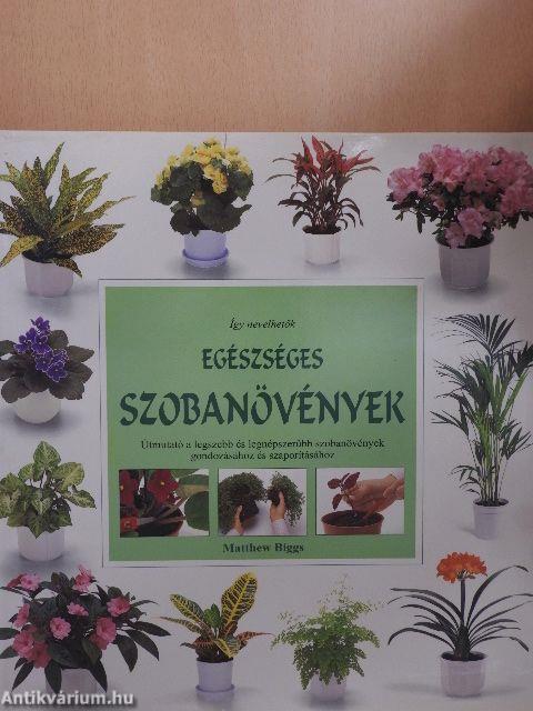 Egészséges szobanövények