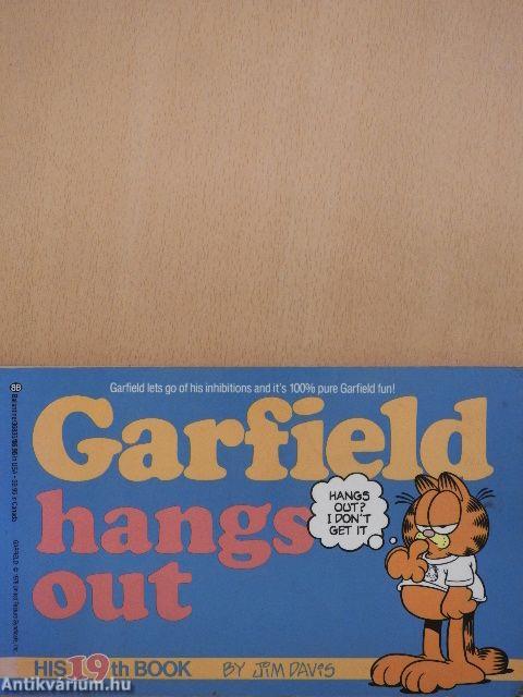 Garfield hangs out