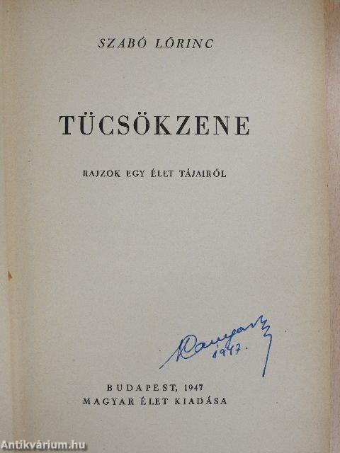 Tücsökzene