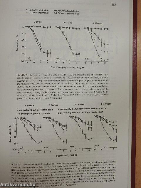 The Endothelium: Modulator of Cardiovascular Function