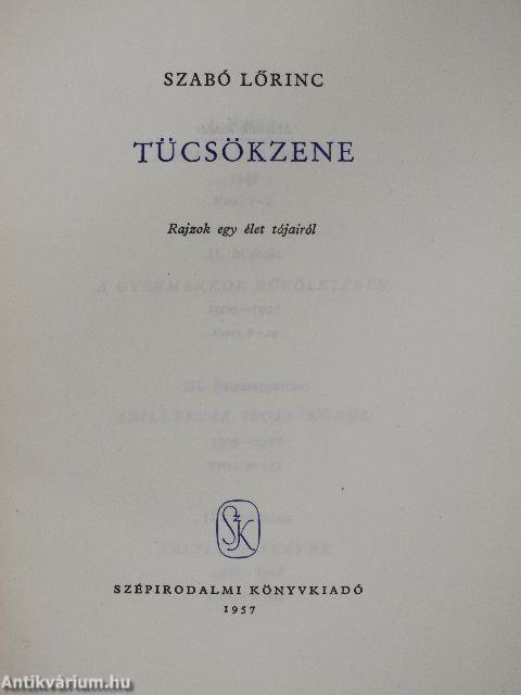 Tücsökzene