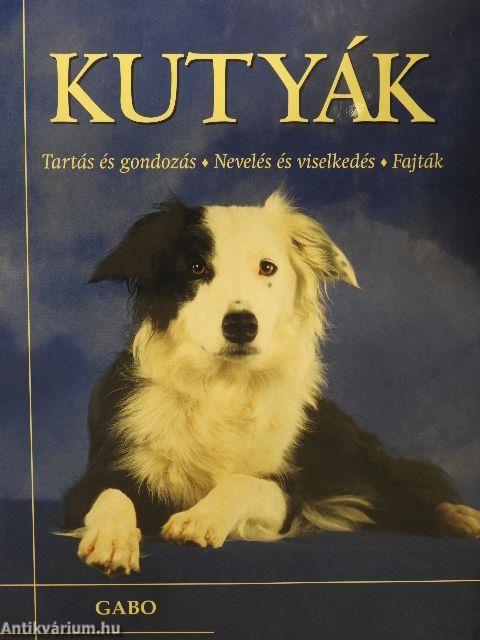 Kutyák