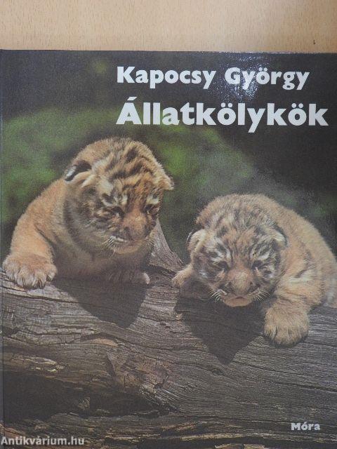 Állatkölykök