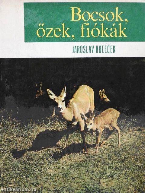 Bocsok, őzek, fiókák