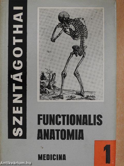 Functionalis anatomia 1-3.