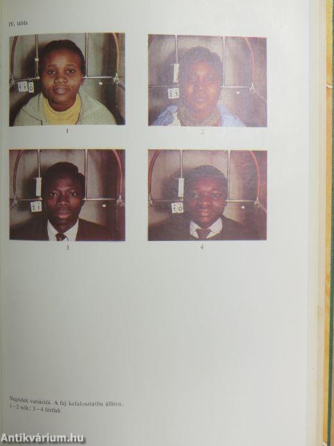 Embertan és emberszármazástan