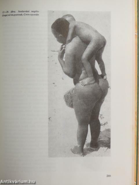 Embertan és emberszármazástan