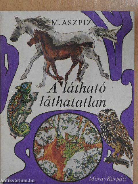 A látható láthatatlan