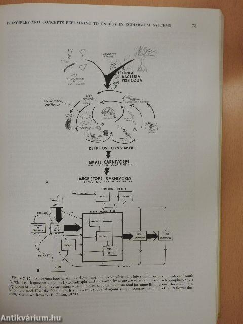 Fundamentals of Ecology