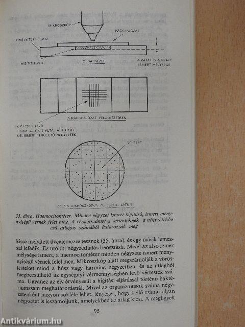 Számoktól a tényekig