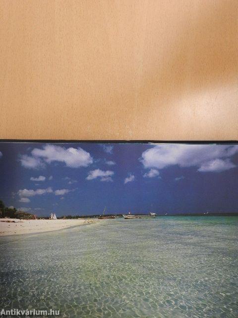 Panorama de l'Ile Maurice/Panorama of Mauritius