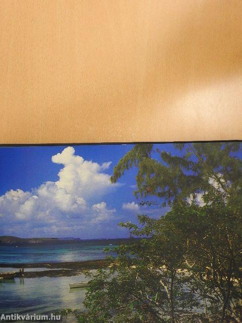 Panorama de l'Ile Maurice/Panorama of Mauritius