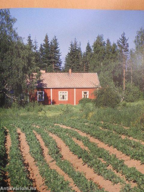 Finland - Nature's table