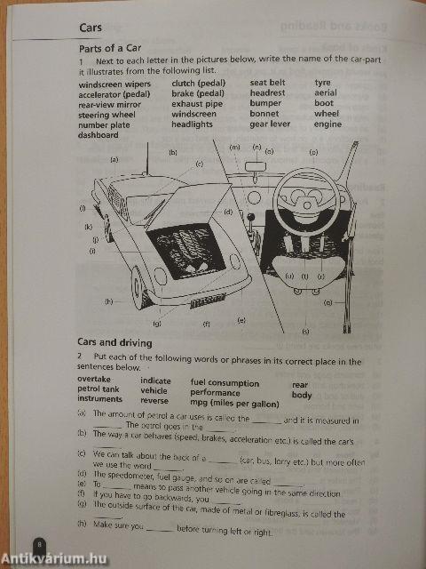 Intermediate Vocabulary