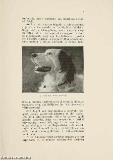 Kutyaportrék (dedikált példány)