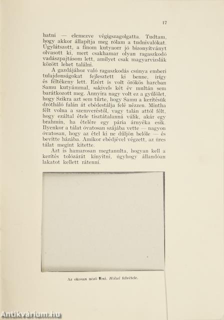 Kutyaportrék (dedikált példány)