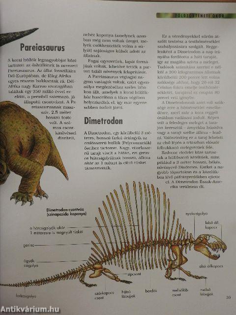 A dinoszauruszok