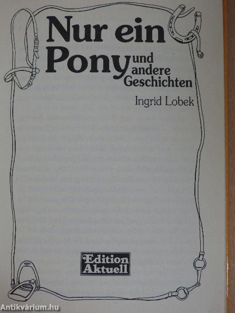 Nur ein Pony und andere Geschichten