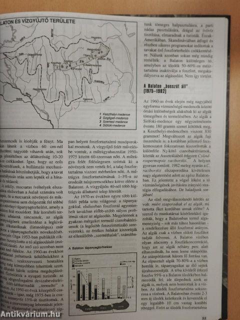 História 1999/1-10./Ezredforduló 1999/1-6. 