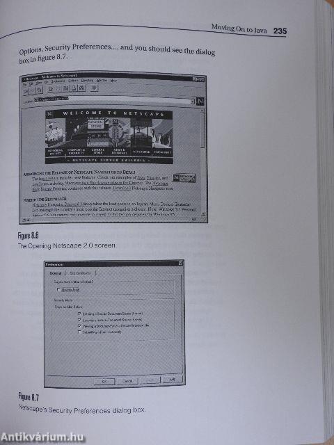 Programming JavaScript for Netscape 2.0